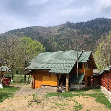 Еко будинок в горах Верхній Бистрий Екстер'єр фото